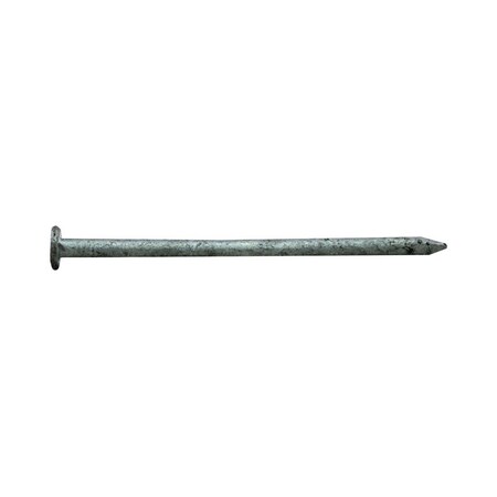 Pro-Fit Pro-Fit 2 in. Common Hot-Dipped Galvanized Steel Nail Flat Head 1 lb 0054138